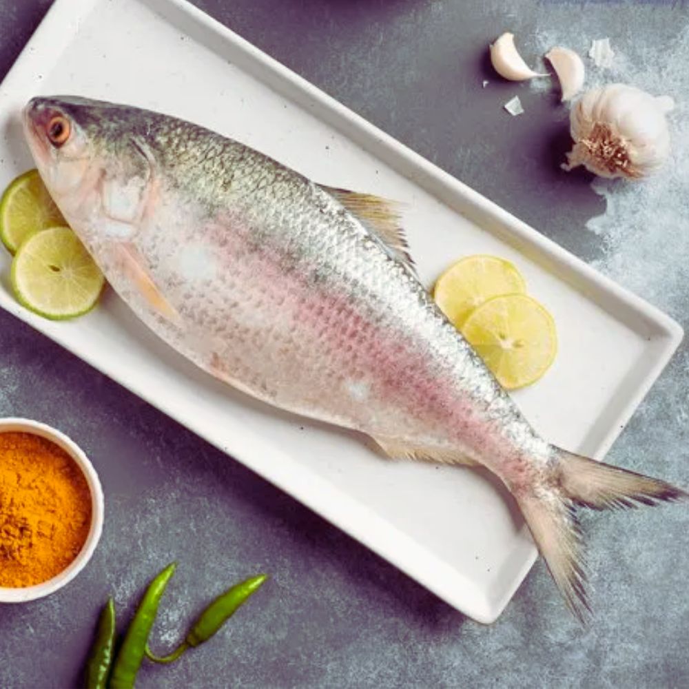 Ilish/Hilsa - (1400-1500 Gms) Fresh & Chilled