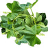Lau saag(1 Portion)