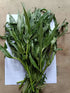 Kulekhara saag(4 Portion)