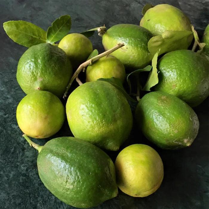 Gondhoraj Lebu(5 Pieces)