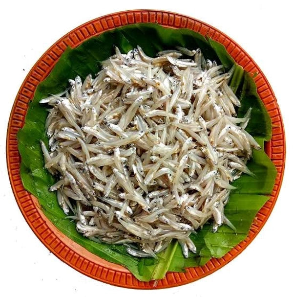 Kachki Mach