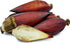 Mocha(Banana Flower)