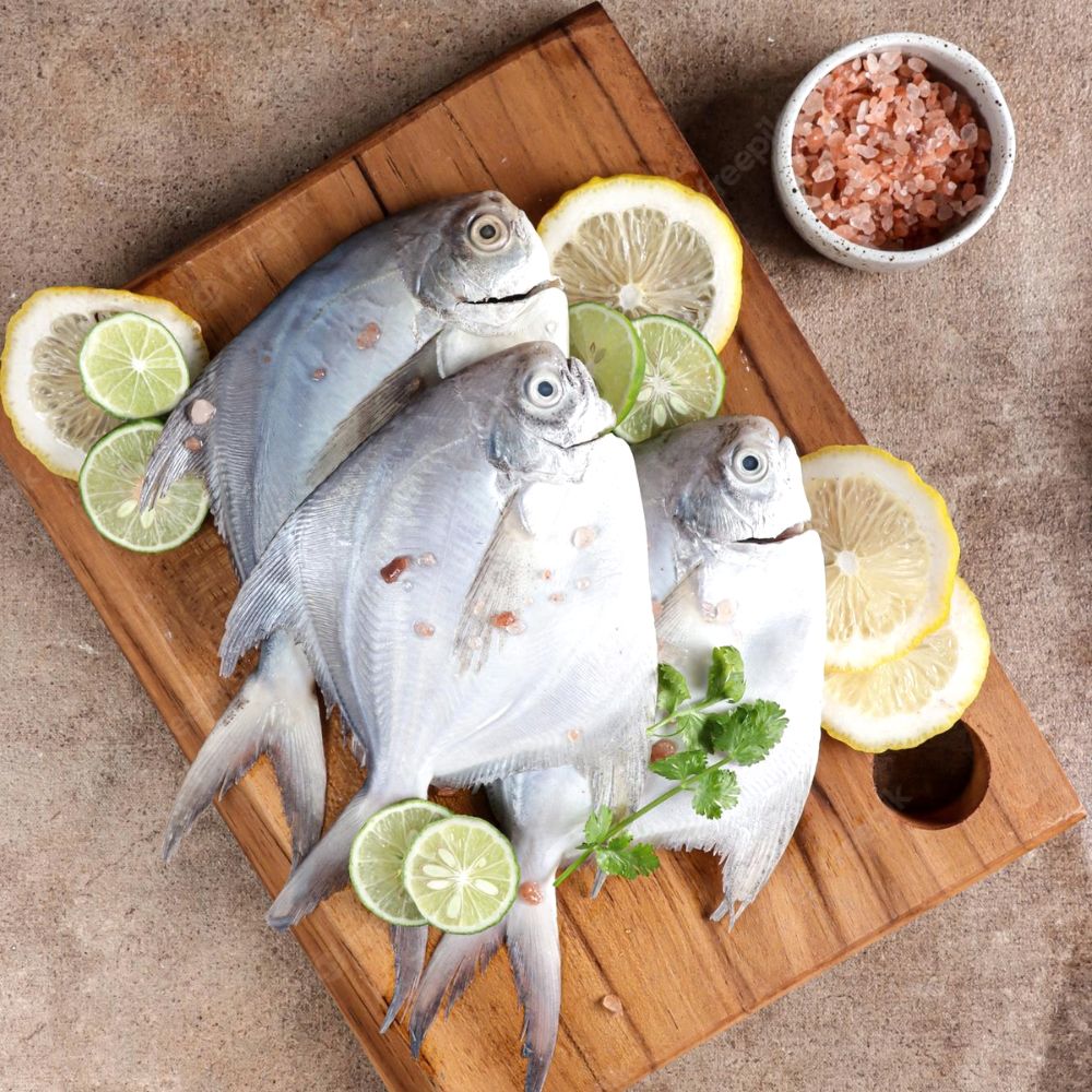 White Pomfret - Fresh & Chilled, C. R. Park Market - Delhi