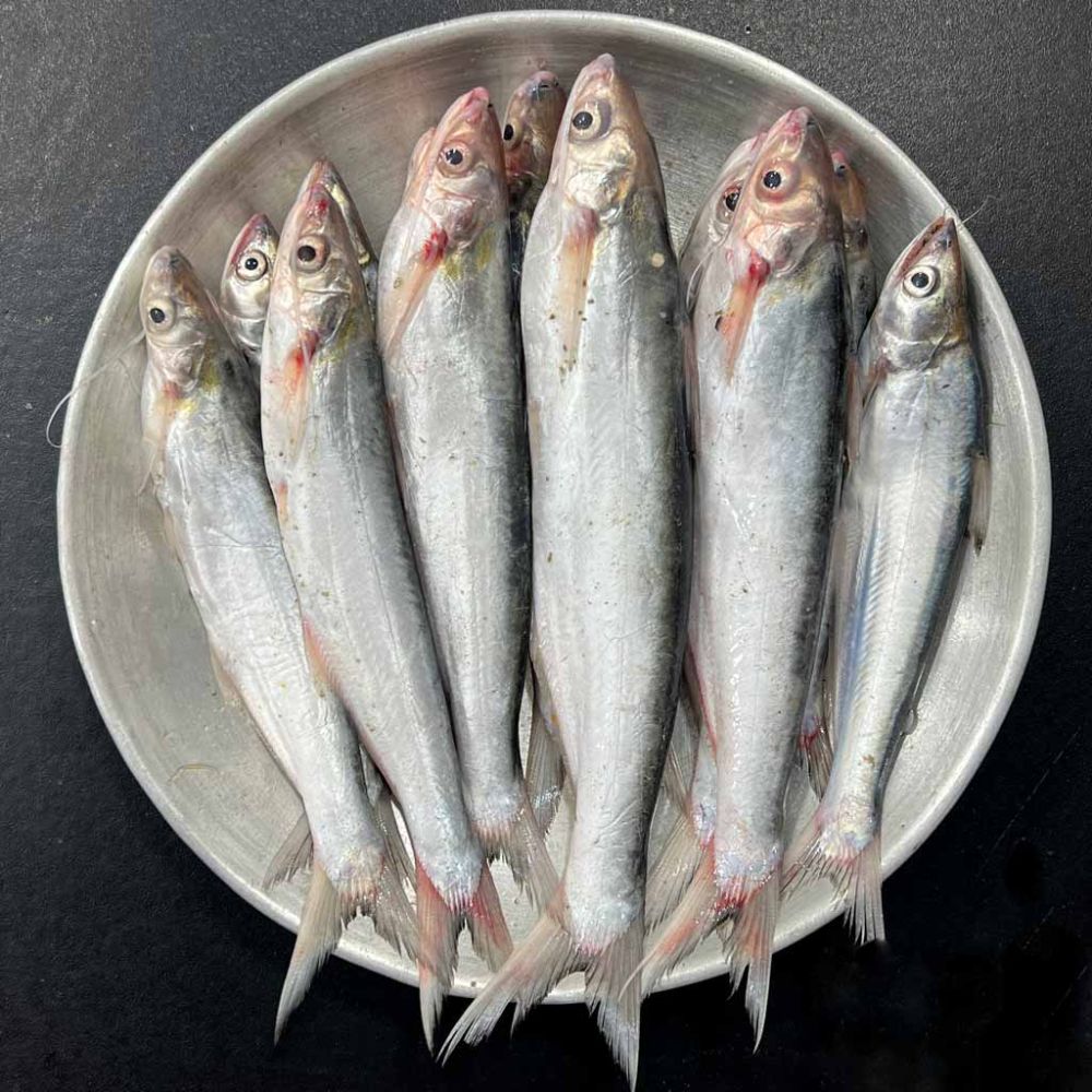 Bacha (10-14 pieces in 1 Kg)