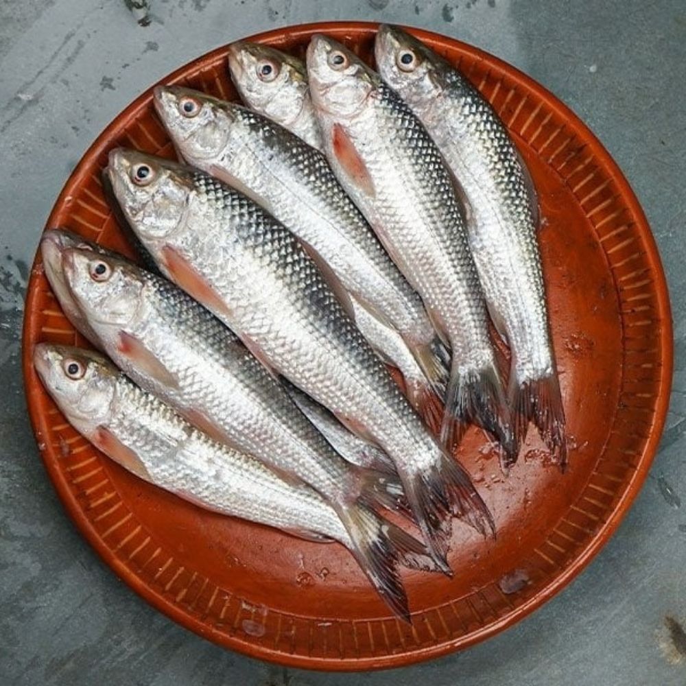 Bata -18-22 PCS in 1 kg