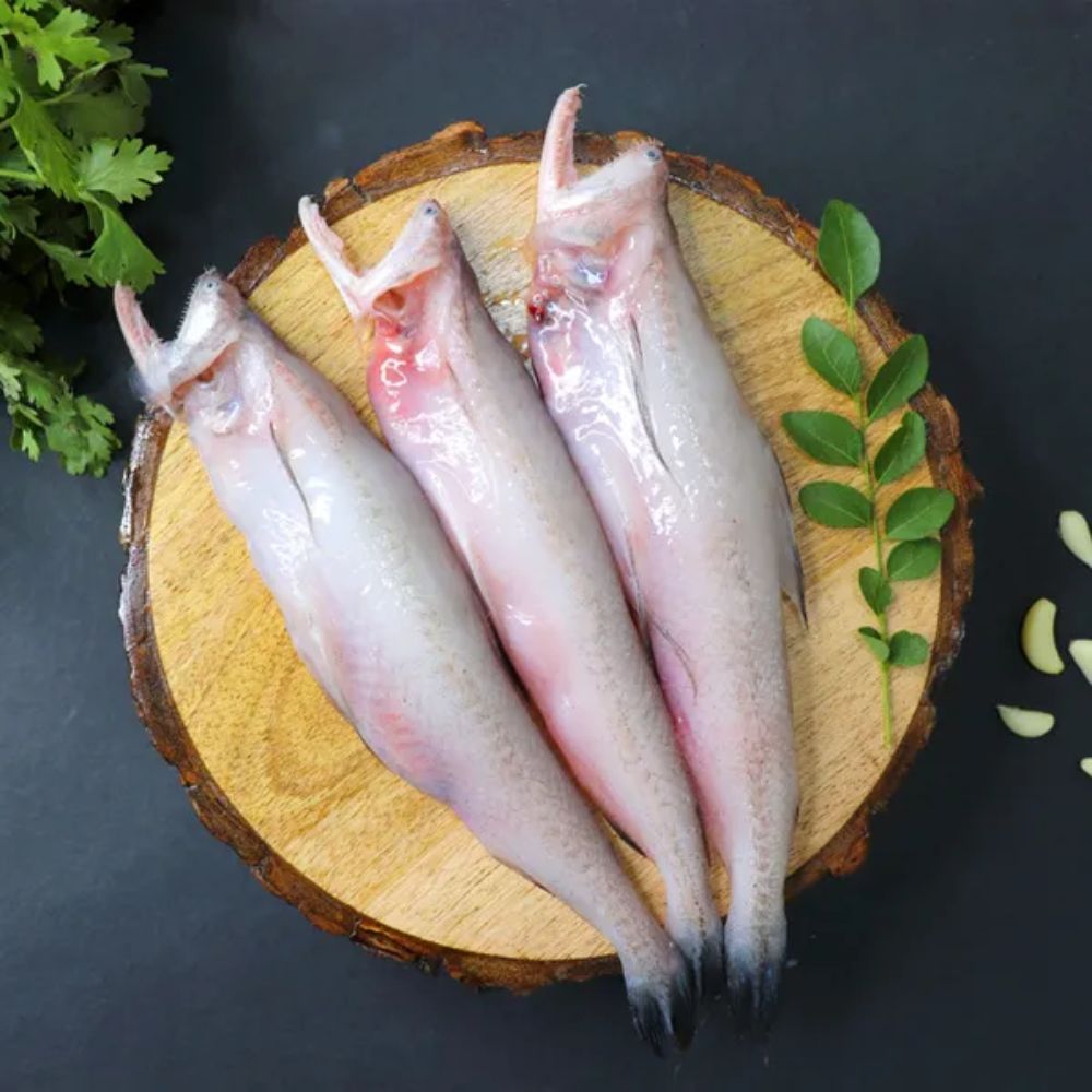 Bombil Fish - Fresh & Chilled, C. R. Park Market - Delhi