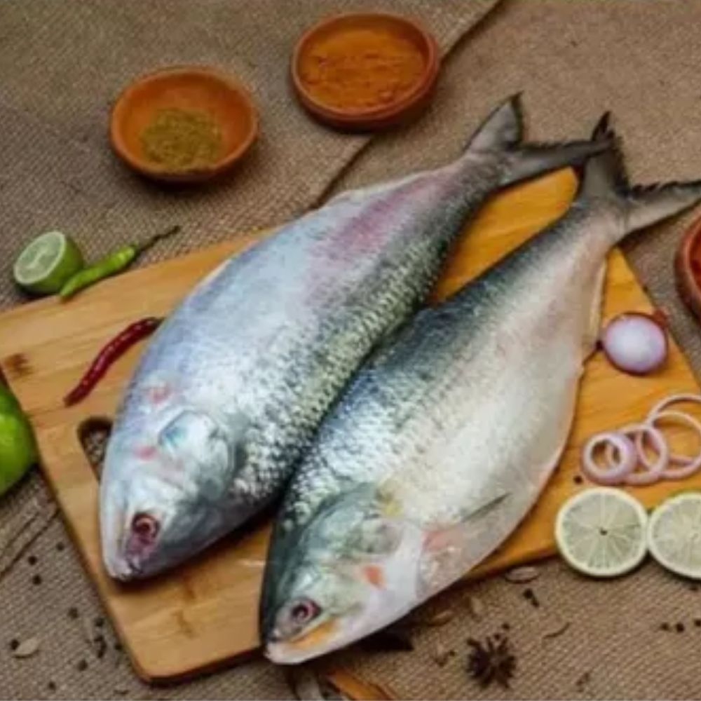Ilish/Hilsa - Fresh & Chilled (1.0-1.2Kg)