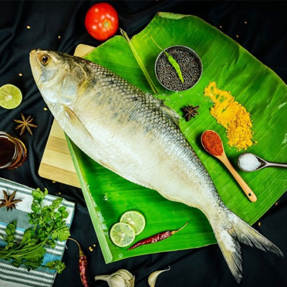 Ilish/ Hilsa - Fresh & Chilled (900gms -1 Kg)
