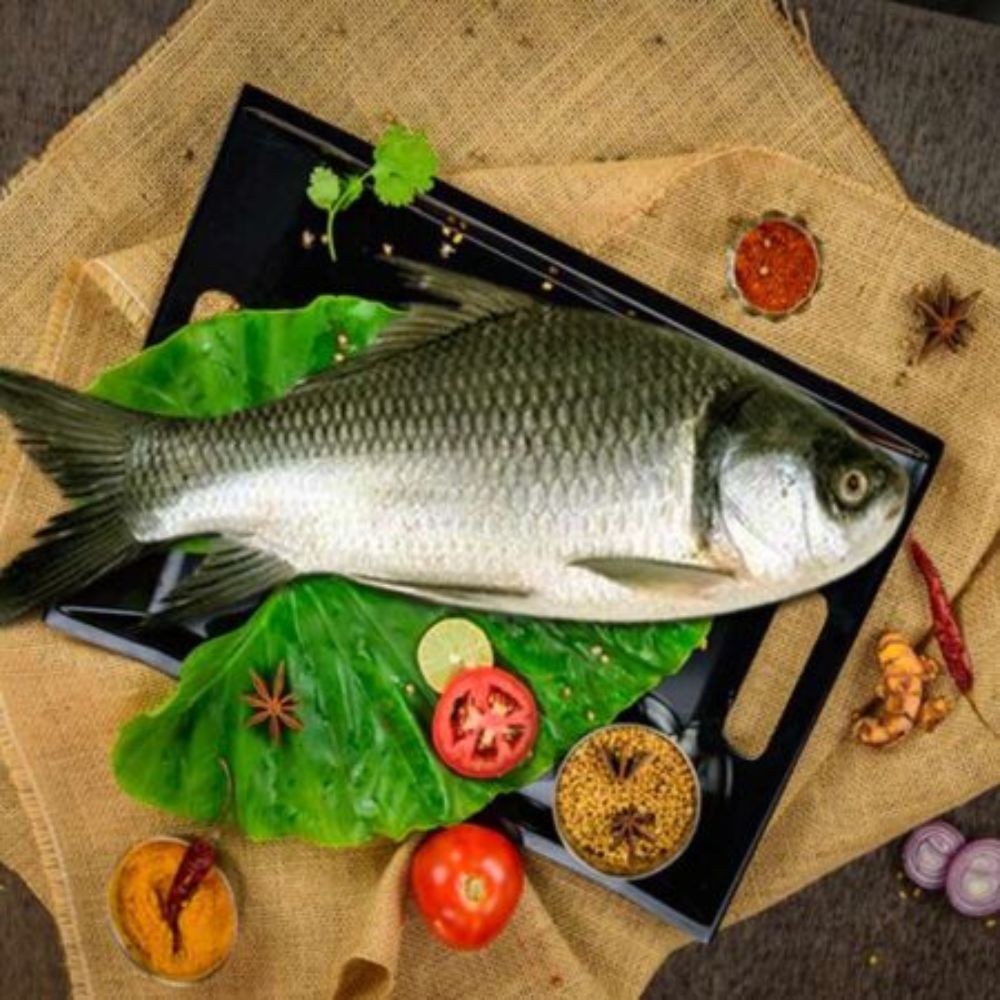 Katla/Catla 4.9 - 5.1kg (Whole)