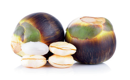 Talsans/Ice Apple)(8 Pieces)