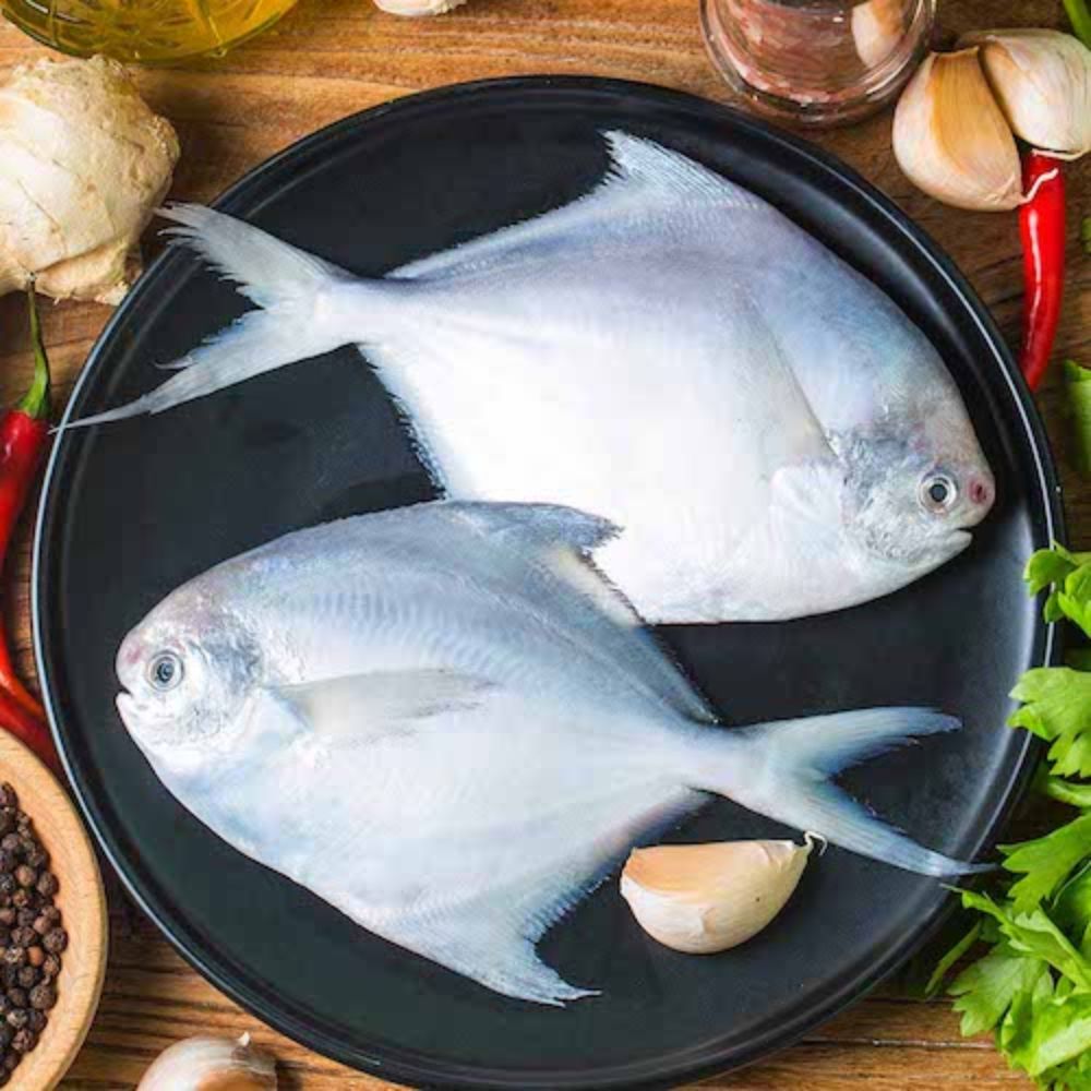 Pomfret - 6-9 PCS in 1 kg